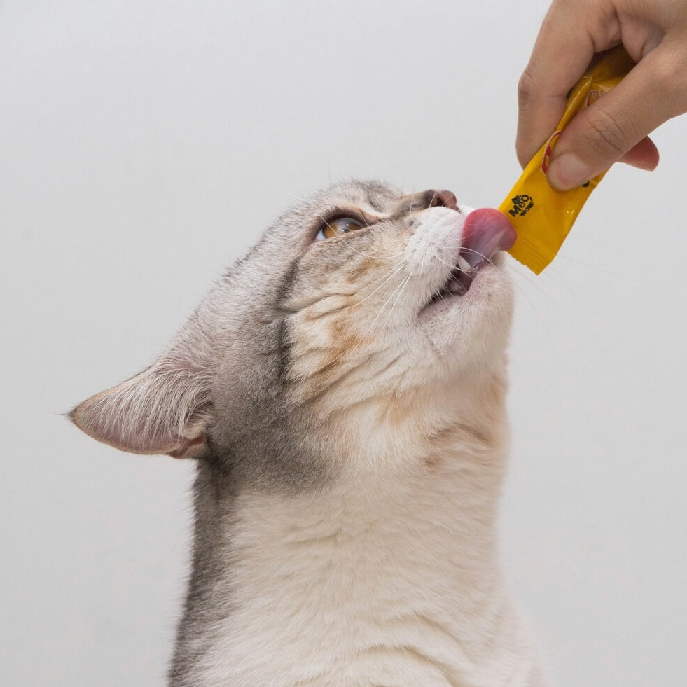 Cat Food & Treats