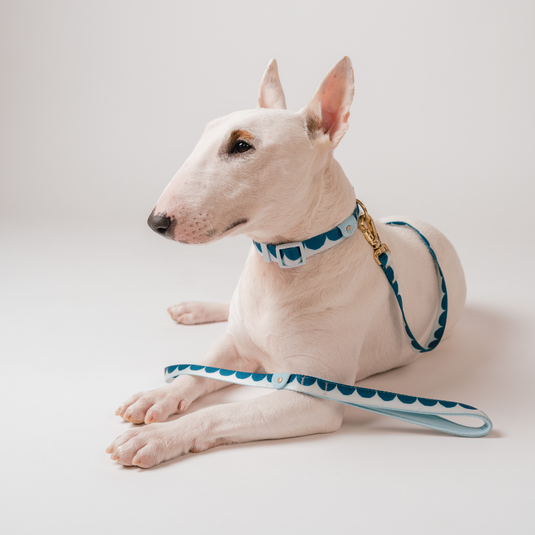 Gentle Pup x Ohpopdog Leash | Sea Salt Latte