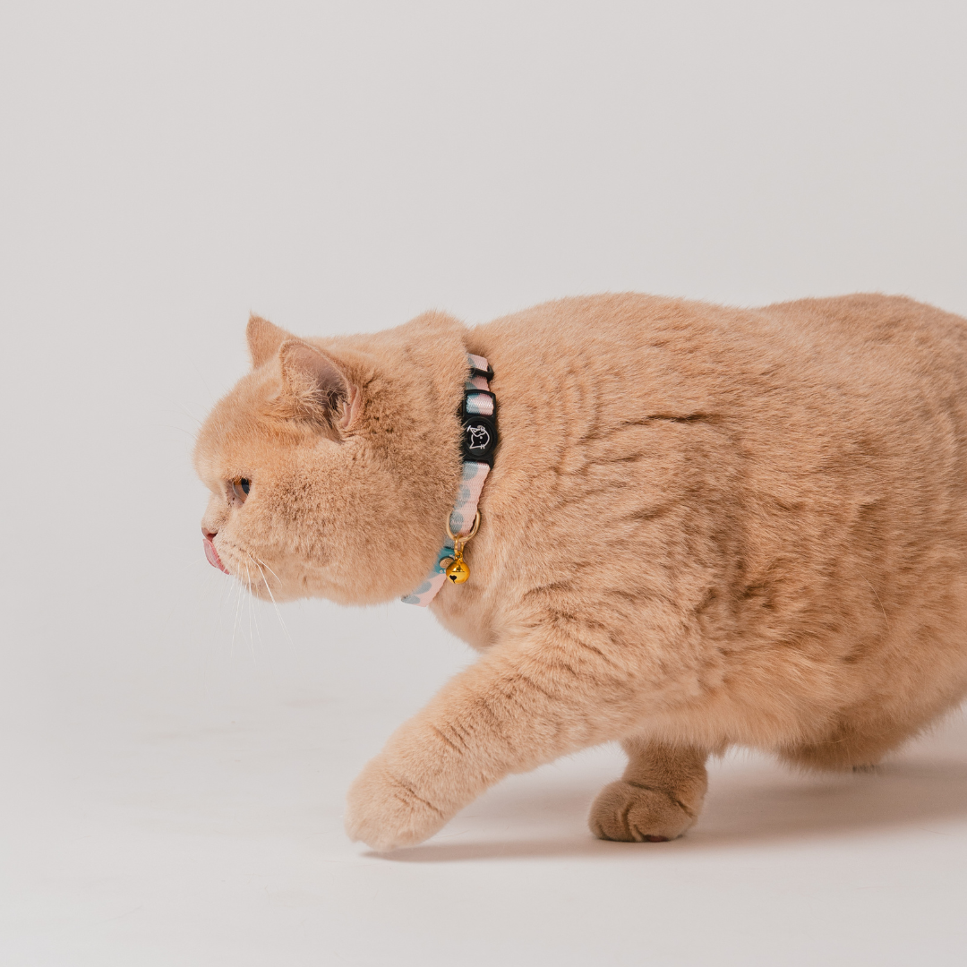 Gentle Purr x Ohpopdog Cat Collar | Cotton Candy Drip