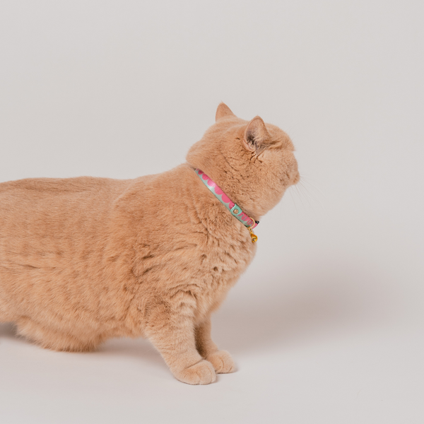 Gentle Purr x Ohpopdog Cat Collar | Strawberry Matcha