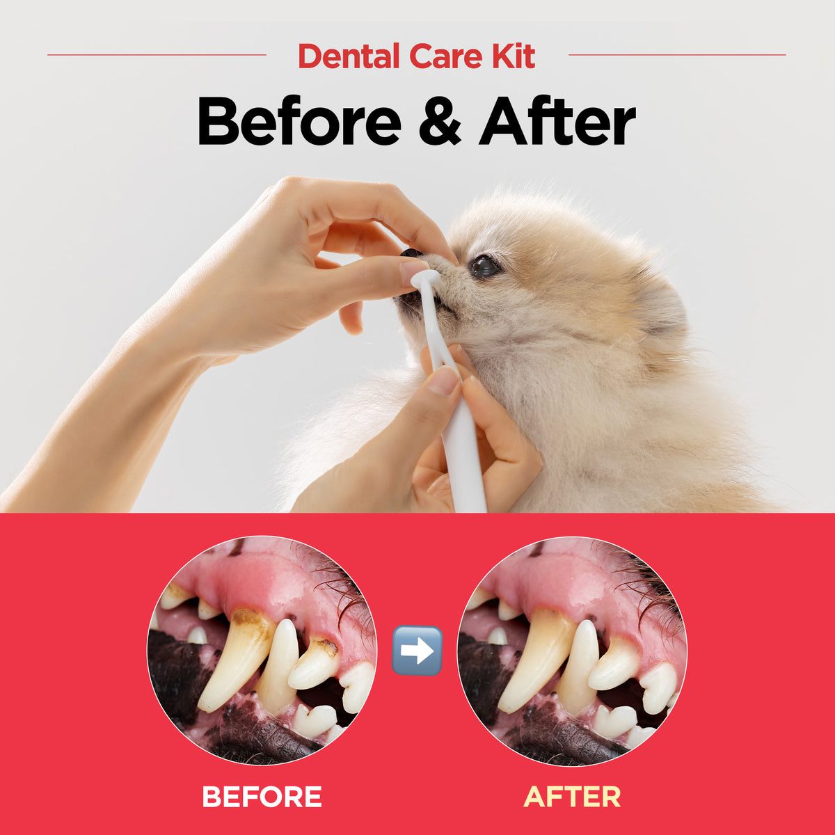 Jayu Pet Dental Gel & Toothbrush