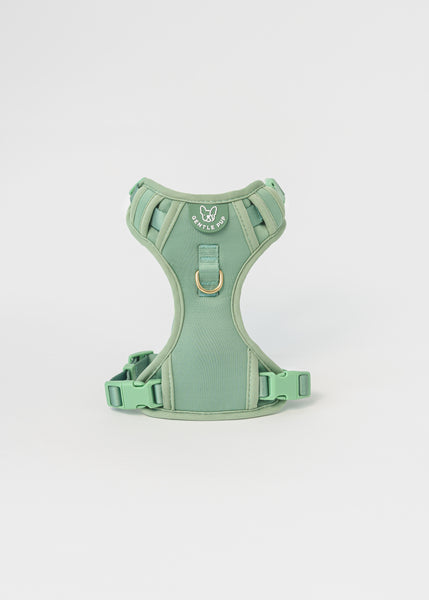 Gentle Pup Easy Harness V2 - Emerald