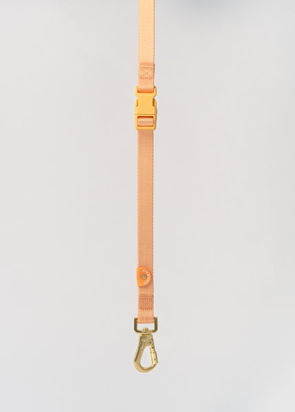Gentle Pup Hands-free Leash - Tangerine