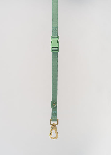 Gentle Pup Hands-free Leash - Emerald