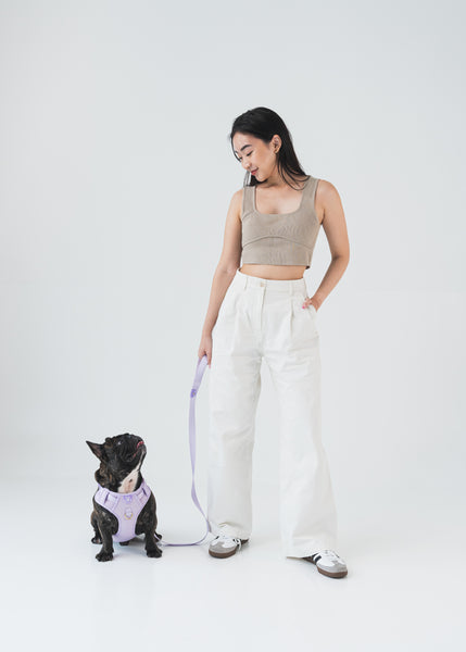 Gentle Pup Leash V2 - Periwinkle