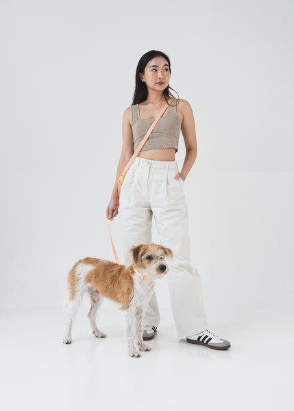 Gentle Pup Hands-free Leash - Tangerine