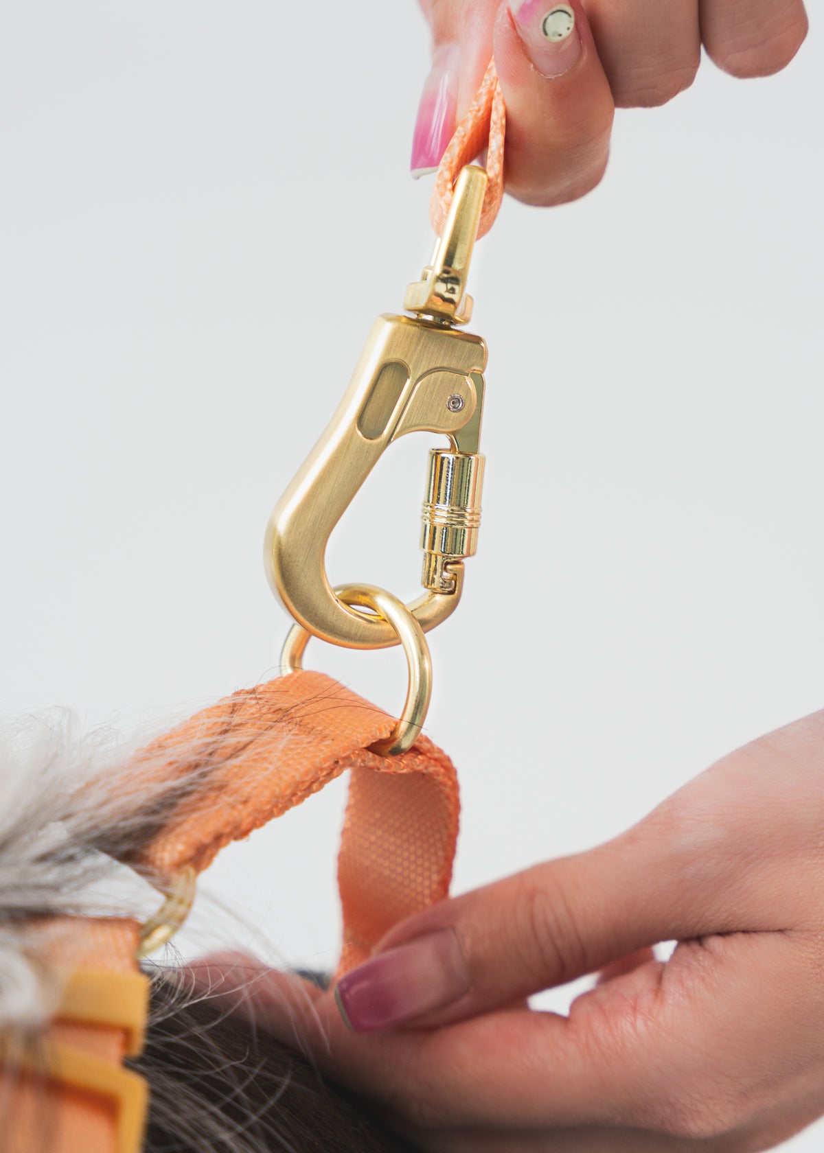 Gentle Pup Leash V2 - Tangerine