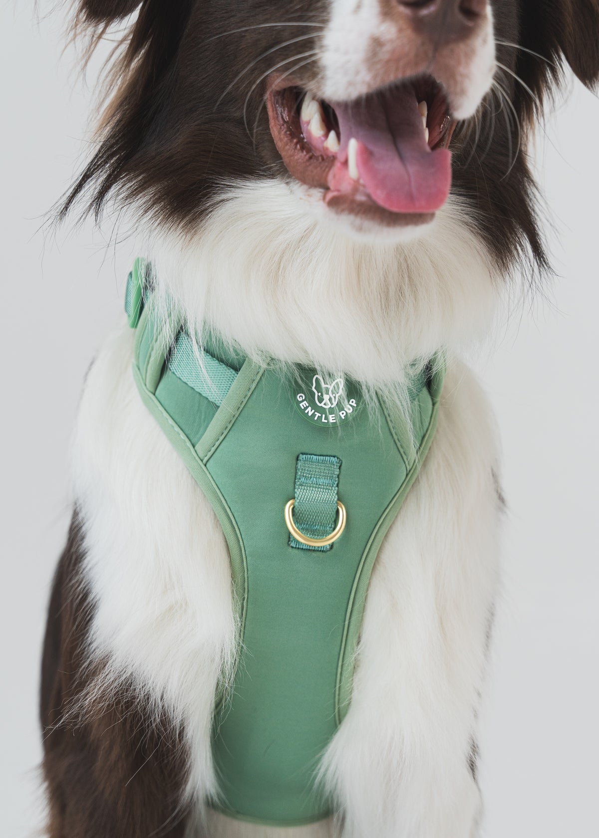 Gentle Pup Easy Harness V2 - Emerald