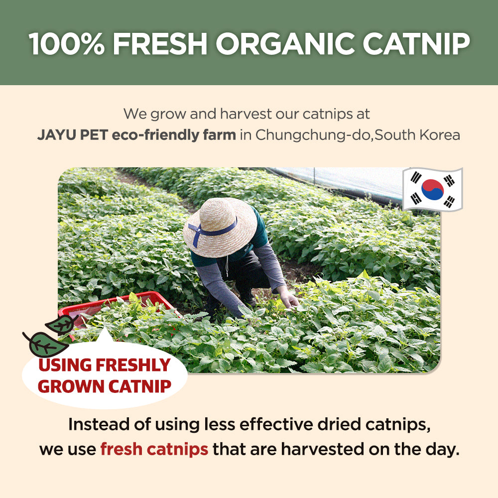 Jayu Pet Active Catnip Spray