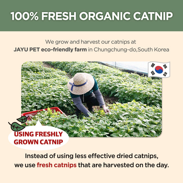 Jayu Pet Active Catnip Spray
