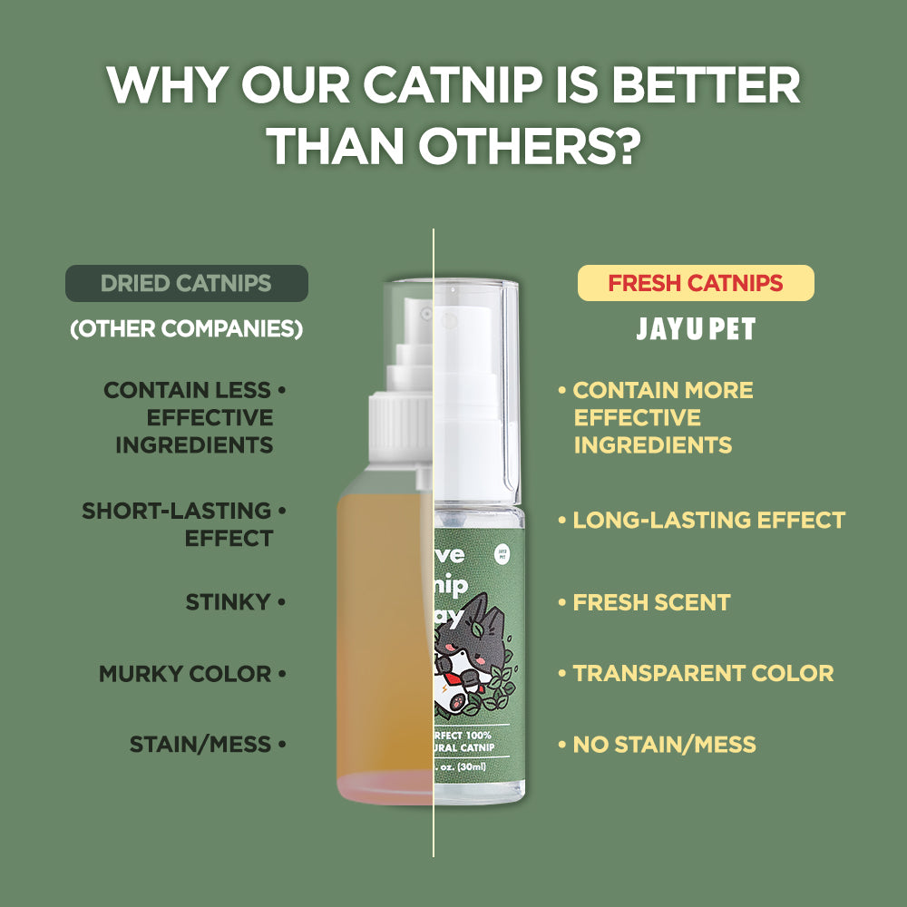 Jayu Pet Active Catnip Spray