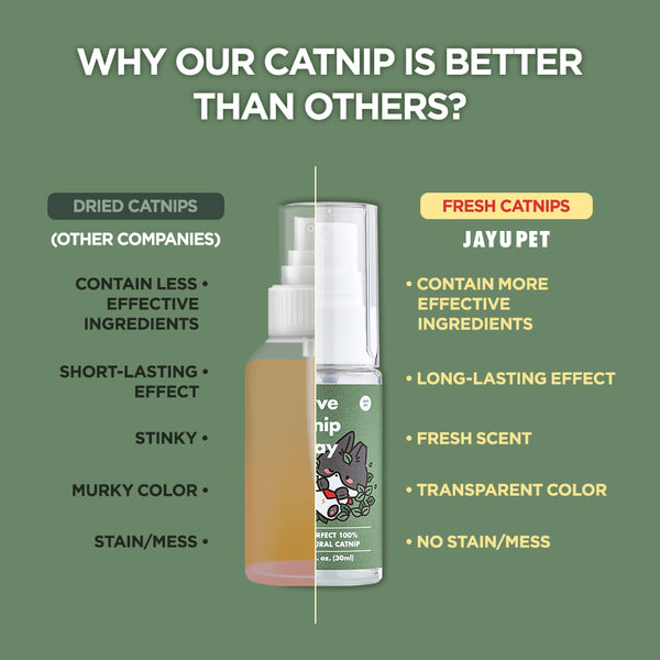 Jayu Pet Active Catnip Spray