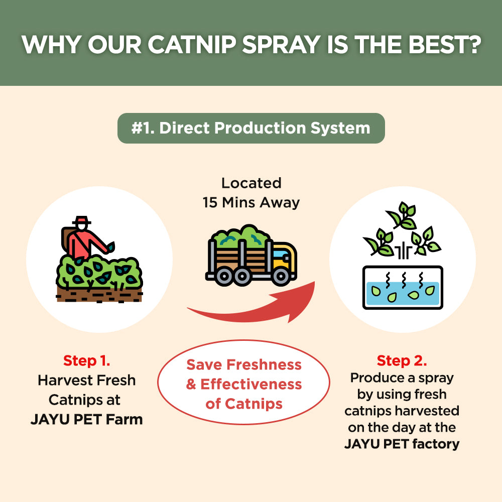 Jayu Pet Active Catnip Spray