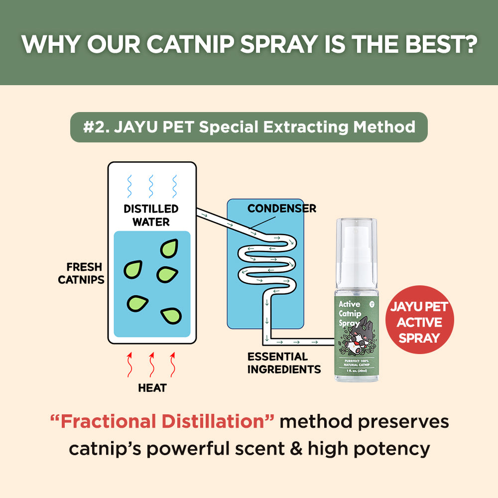 Jayu Pet Active Catnip Spray