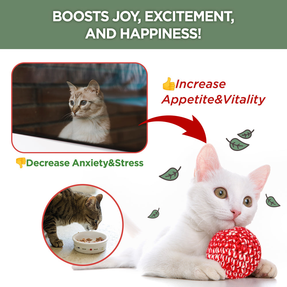Jayu Pet Active Catnip Spray