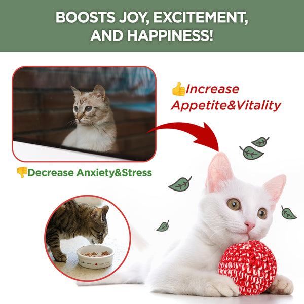 Jayu Pet Active Catnip Spray
