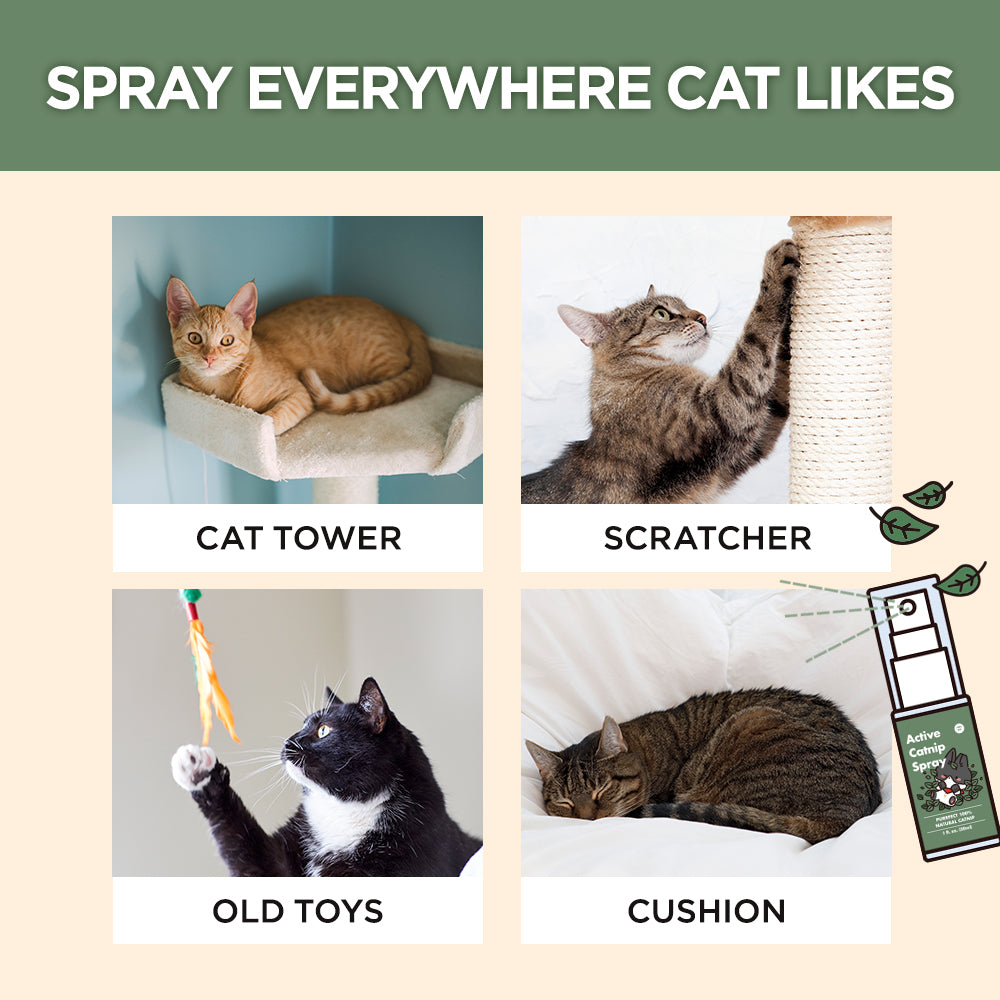 Jayu Pet Active Catnip Spray