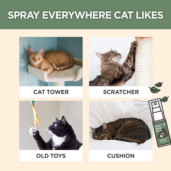 Jayu Pet Active Catnip Spray