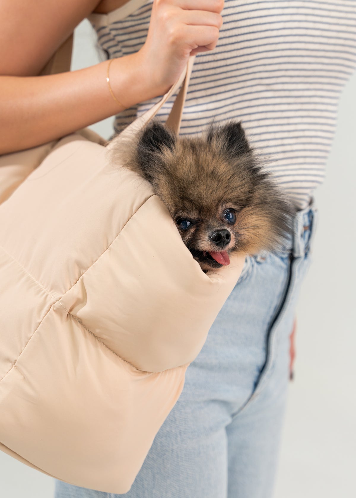 Gentle Pup Puff Carrier
