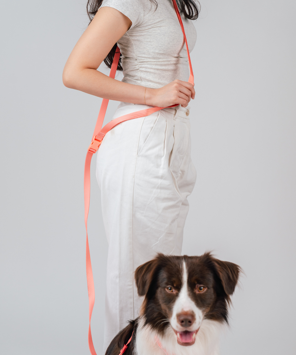Gentle Pup Hands-free Leash - Cherry