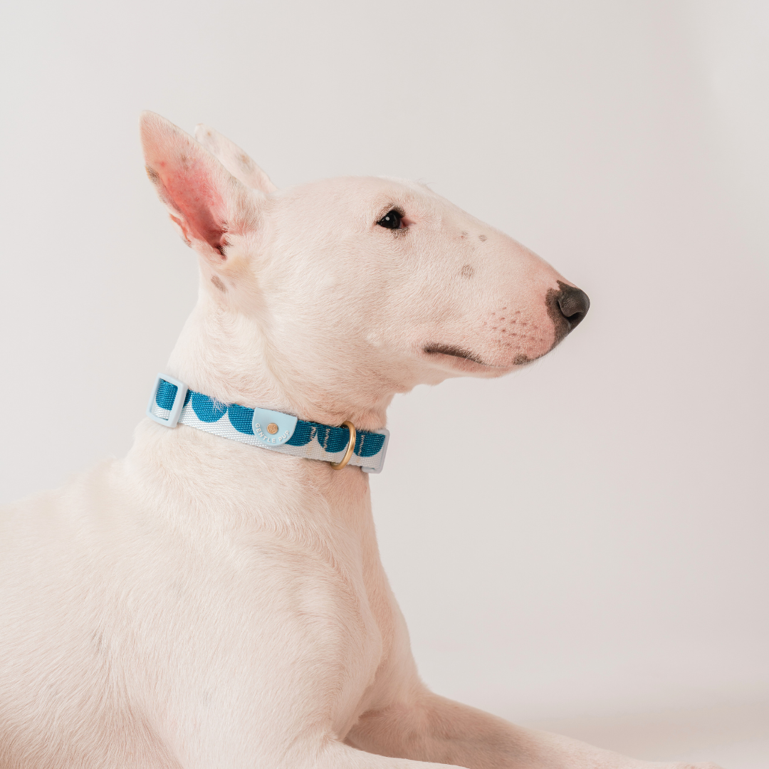Gentle Pup x Ohpopdog Dog Collar | Sea Salt Latte
