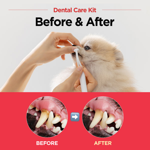 Jayu Pet Dental Gel & Toothbrush