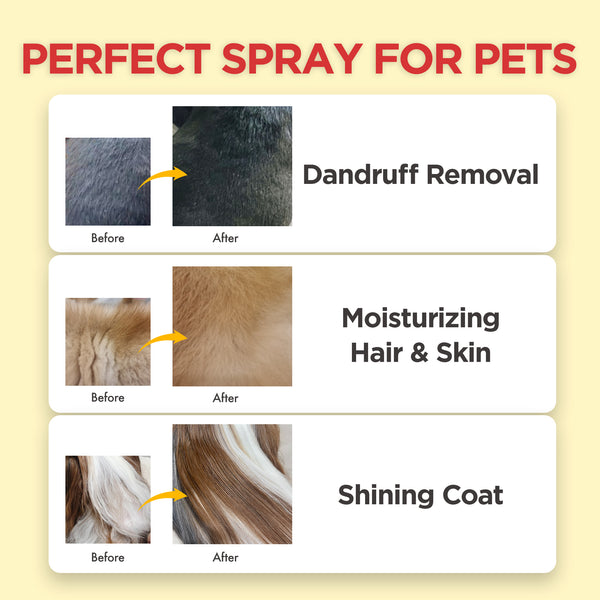 Jayu Pet White Essence Mist
