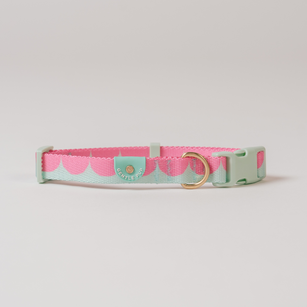 Gentle Pup x Ohpopdog Dog Collar | Strawberry Matcha