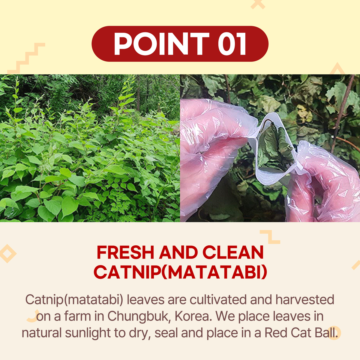 Jayu Pet Red Cat Ball