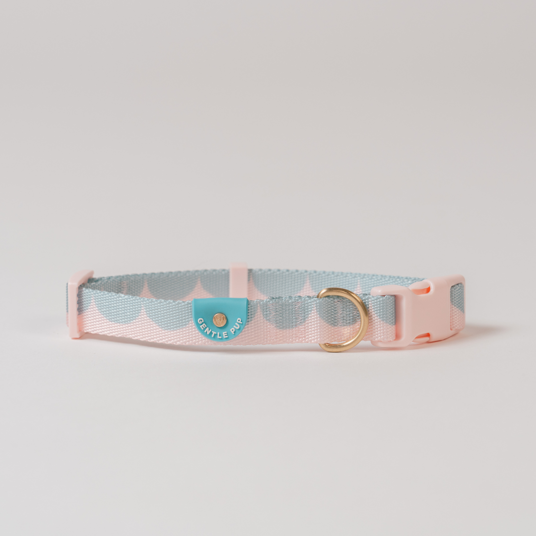 Gentle Pup x Ohpopdog Dog Collar | Cotton Candy Drip
