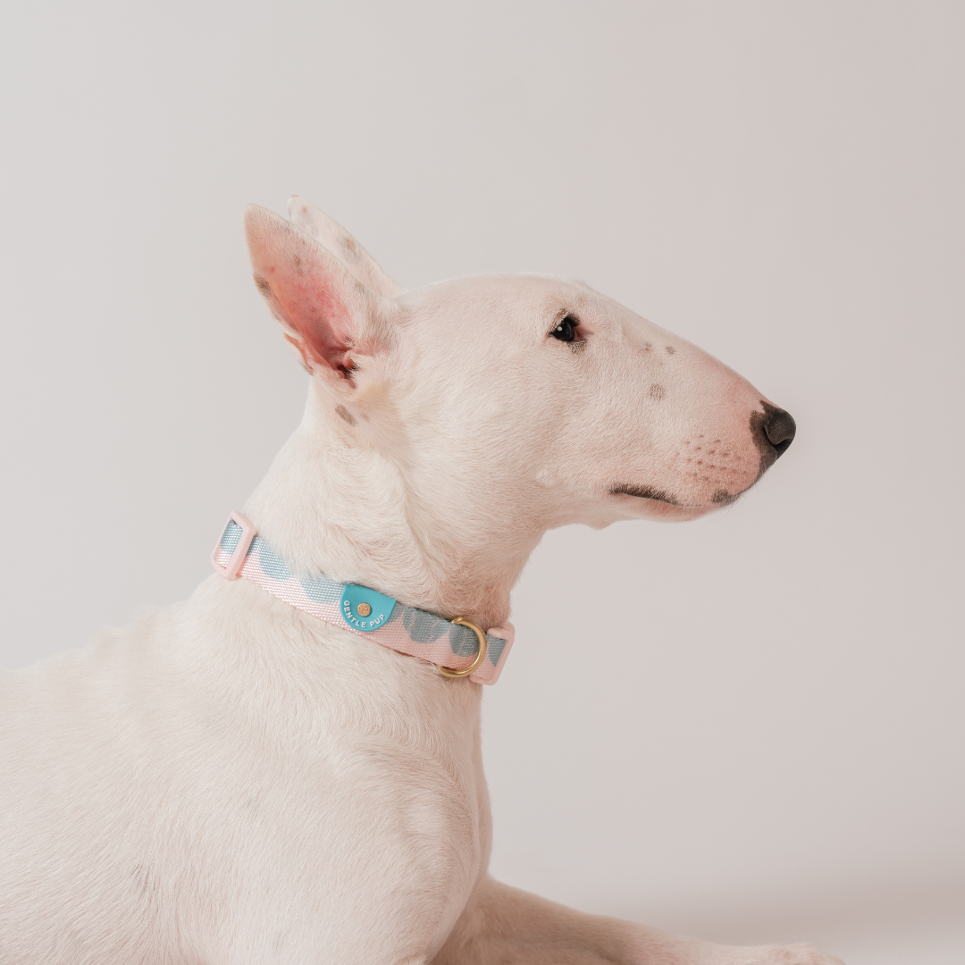 Gentle Pup x Ohpopdog Dog Collar | Cotton Candy Drip