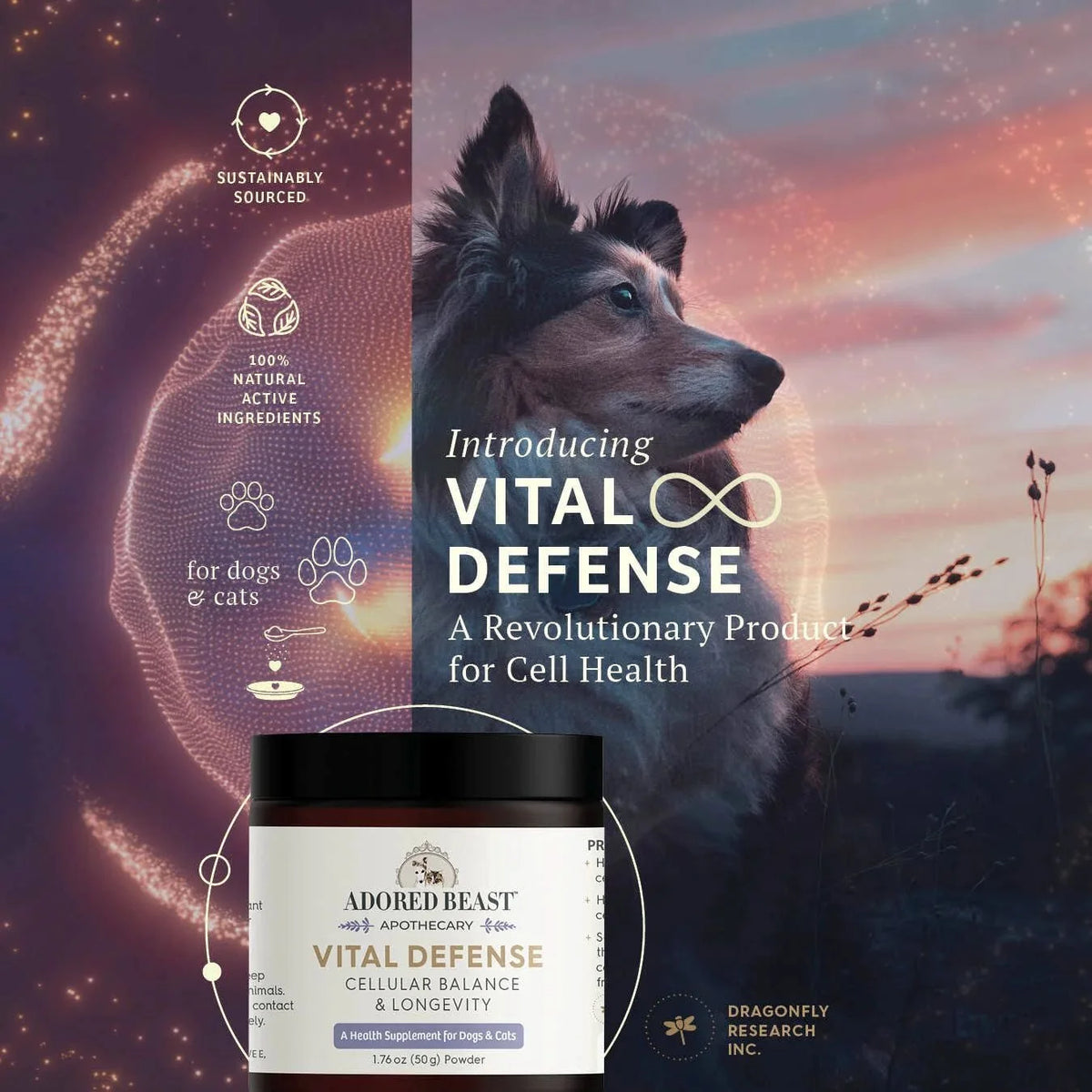 Adored Beast Vital Defense | Cellular Support 50g
