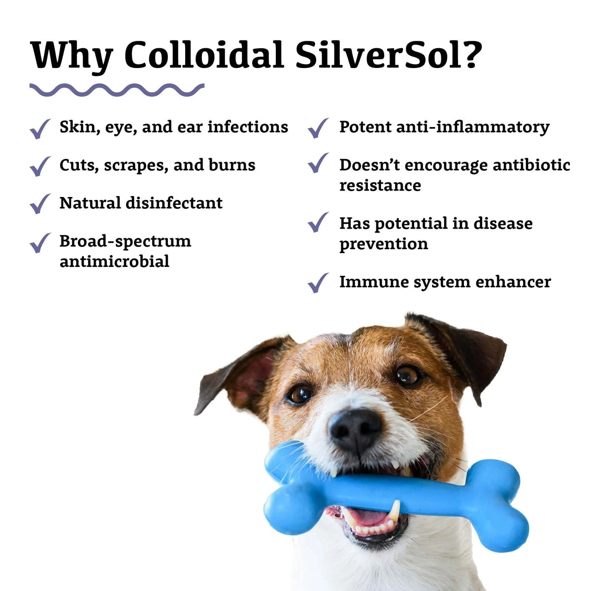 Adored Beast Colloidal Silversol | *MRET Activated