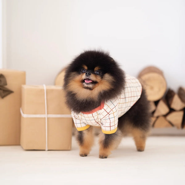 Ohpopdog Autumn Plaid Play Raglan T-shirt