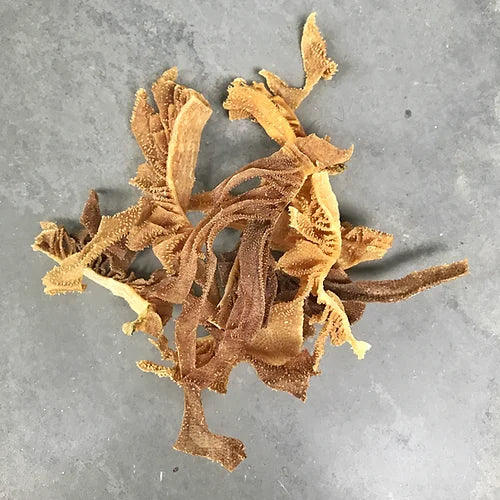 Wholesome Paws Dehydrated Treats - Beef Tripe
