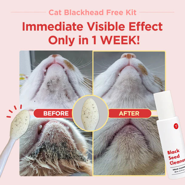 Jayu Pet 3-Step Cat Acne Kit
