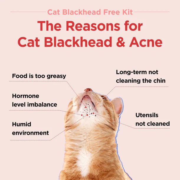 Jayu Pet 3-Step Cat Acne Kit