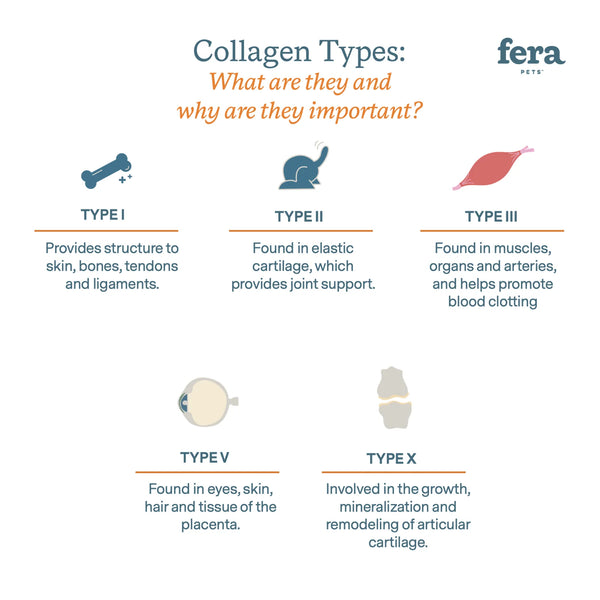 Fera Pet Organics Collagen Plus for Dogs & Cats
