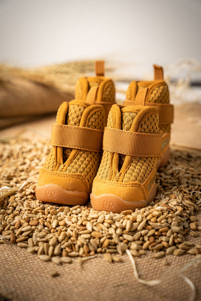 RIFRUF Dog Shoes | Caesar 1S (In-stock)