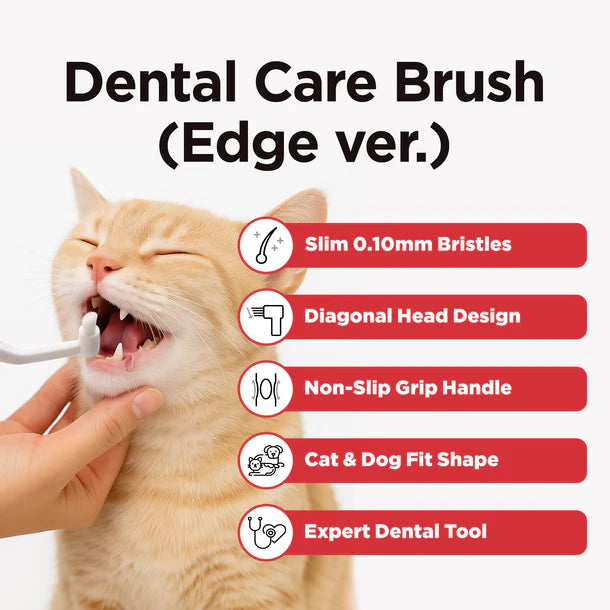 Jayu Pet Dental Brush - Edge