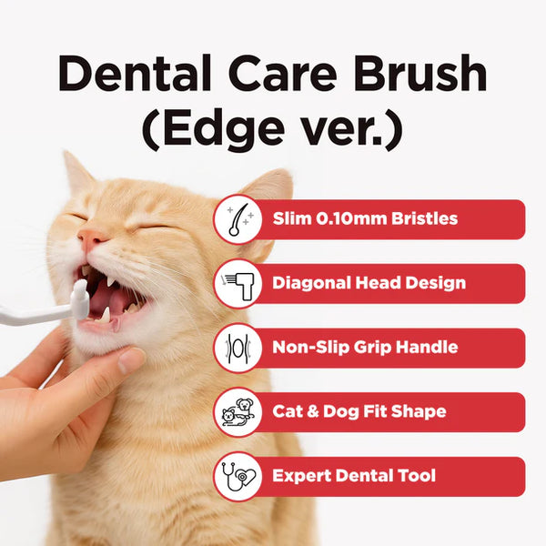 Jayu Pet Dental Brush - Edge