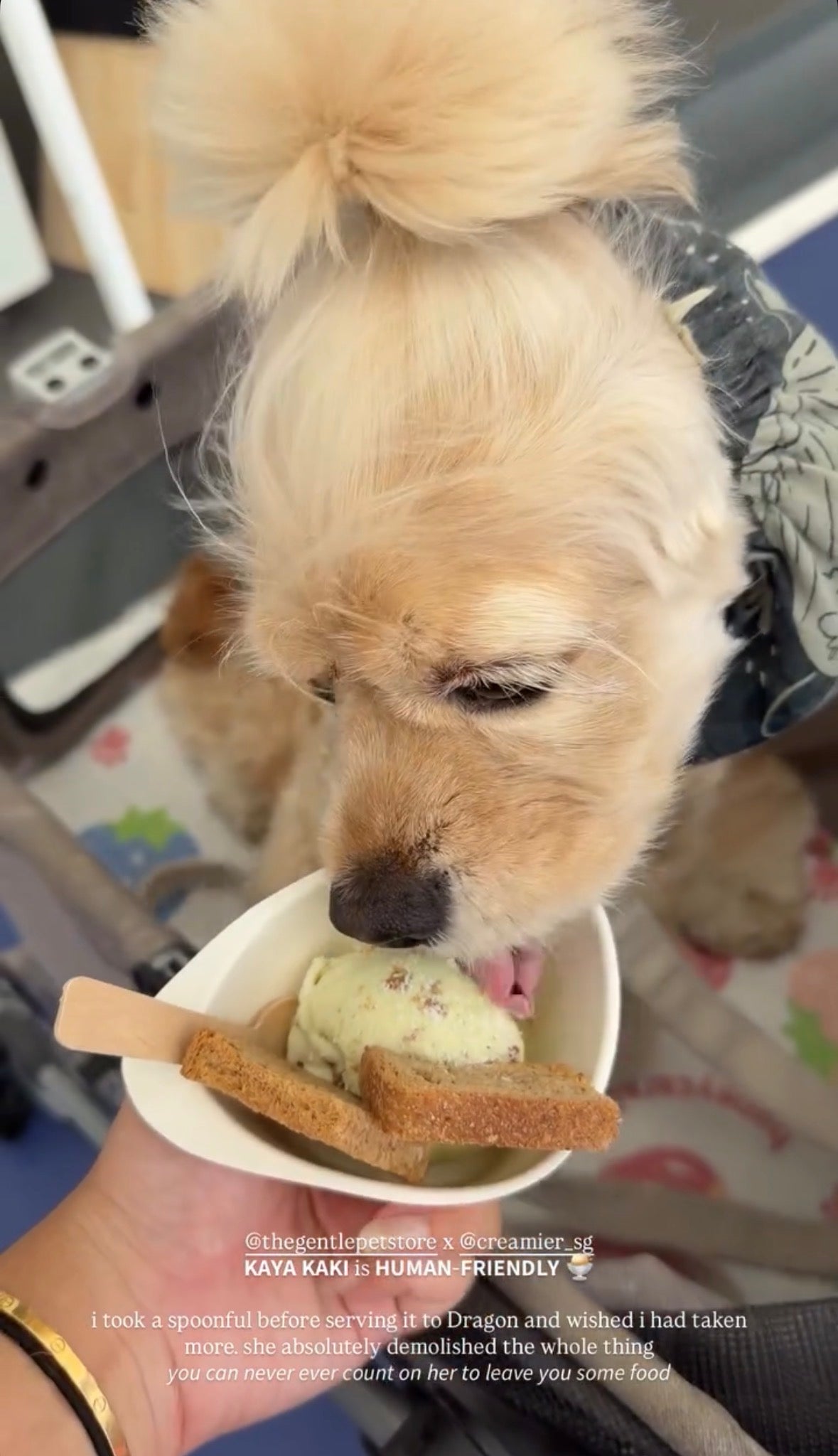 Gentle Pet Store
