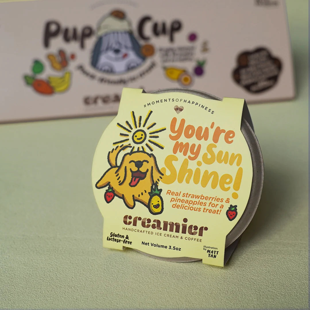 Creamier You're My Sunshine! Ice Cream