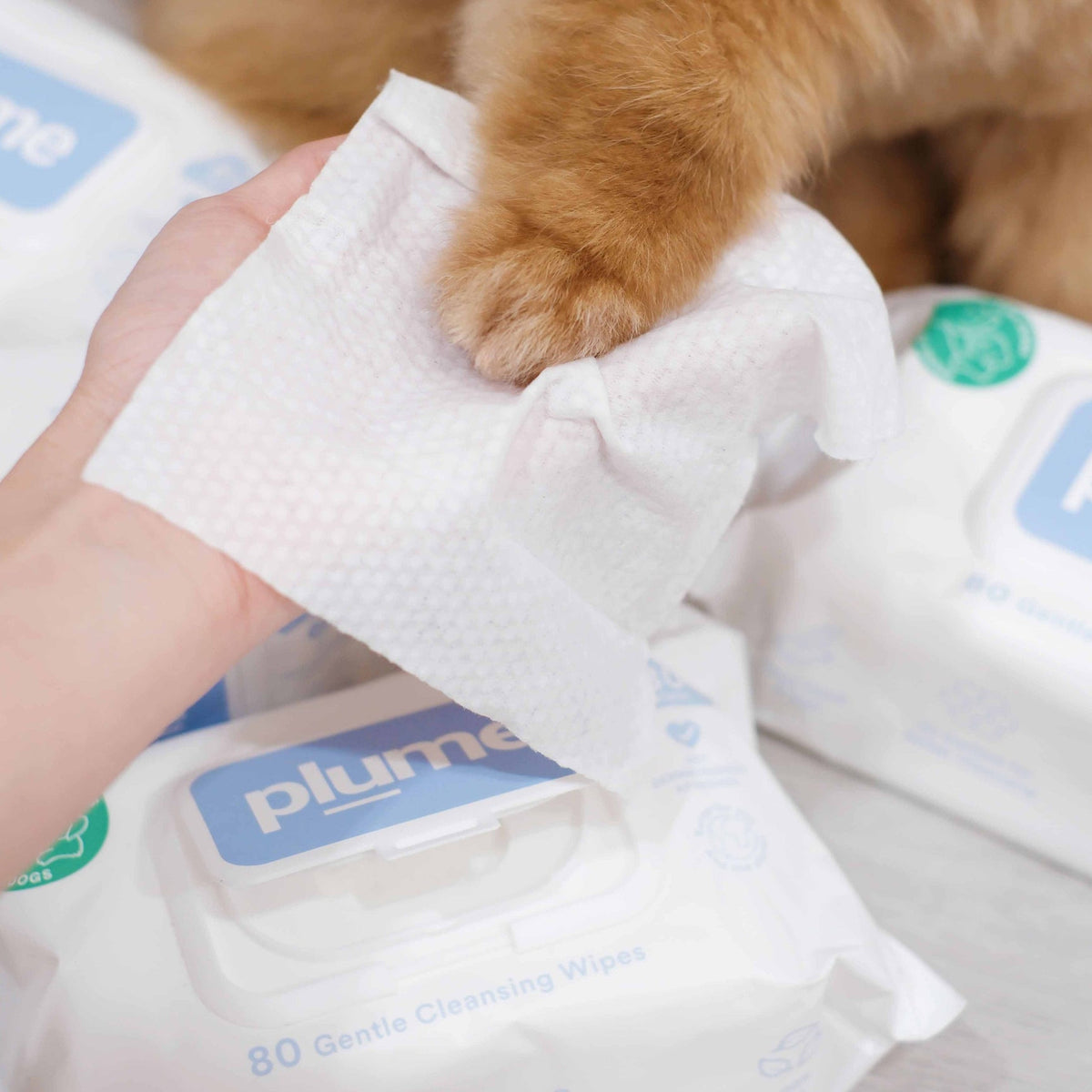 Plume Care | Gentle Cleansing Wet Wipes for Dogs & Cats