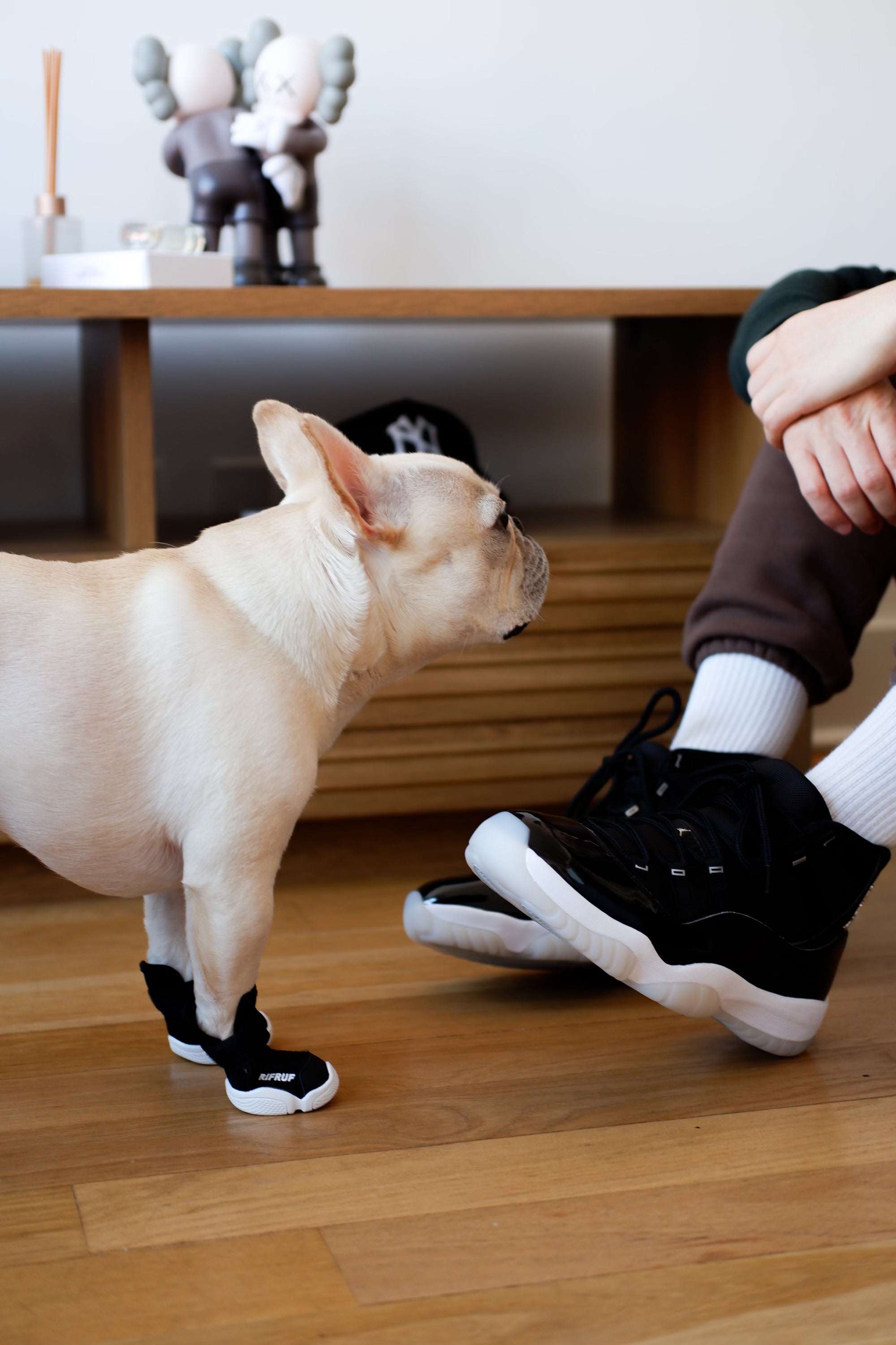 RIFRUF Dog Shoes | Caesar 1  (In-stock)