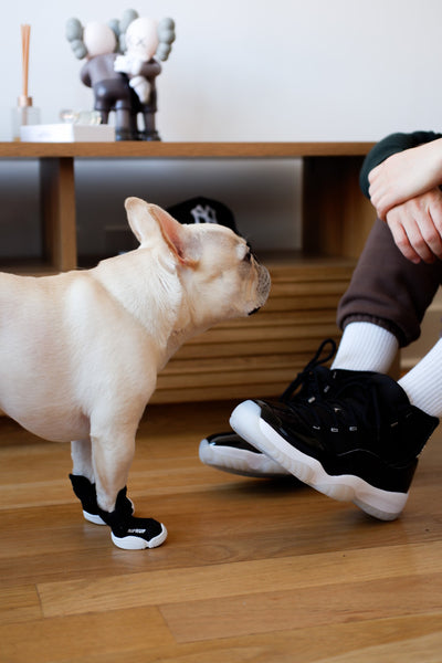 RIFRUF Dog Shoes | Caesar 1  (In-stock)