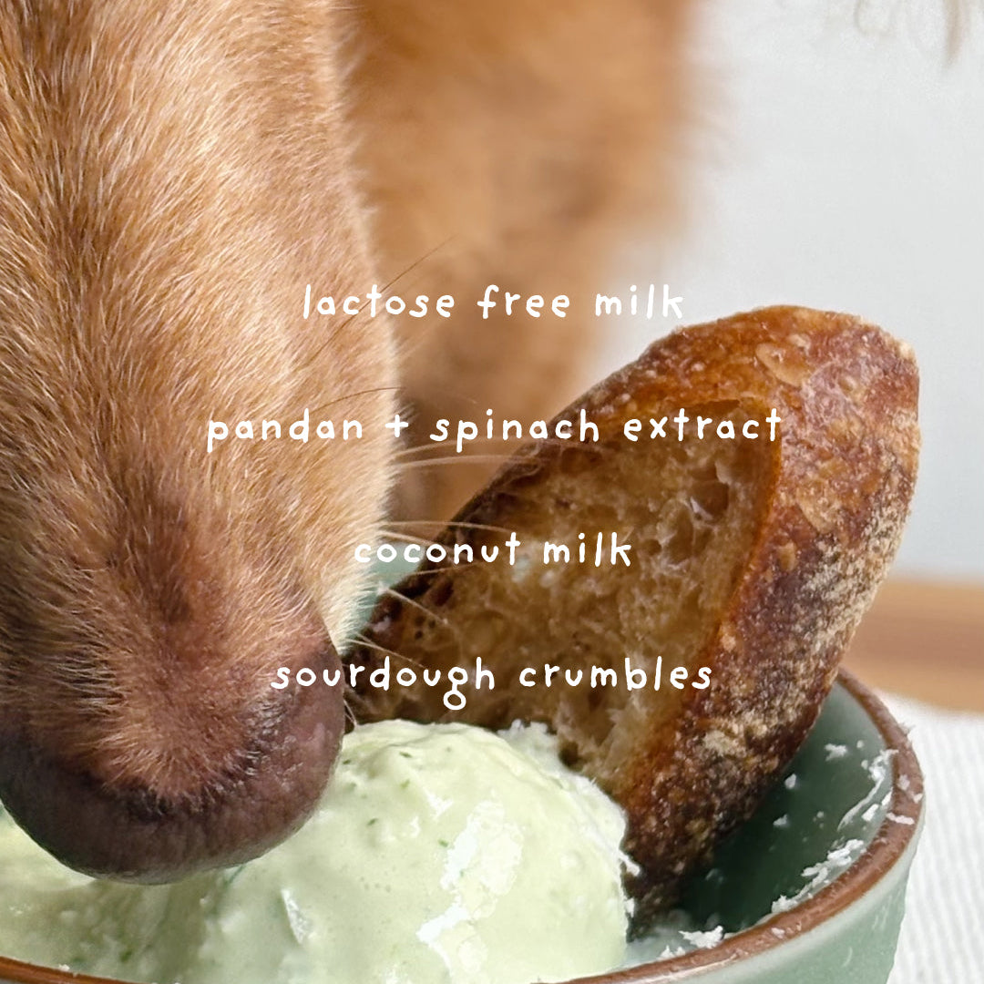 Creamier x Gentle Pet Store Kaya Kakis Ice Cream
