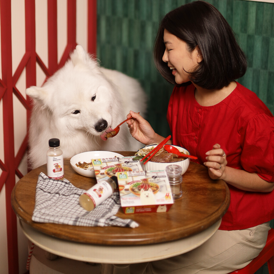 PetCubes Gently Cooked Beef Noodles for Dogs