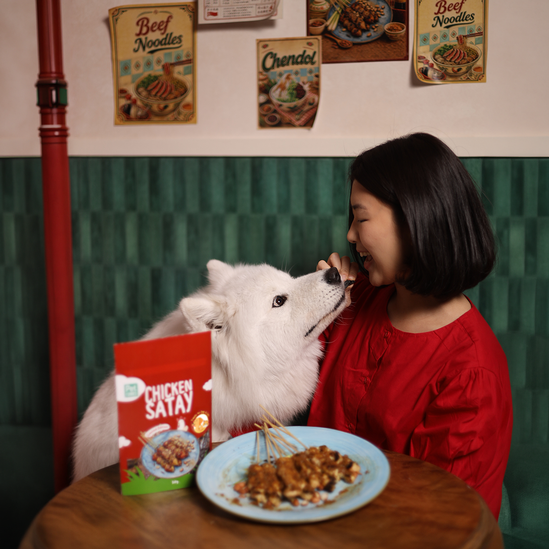PetCubes Chicken Satay Treats for Dogs & Cats