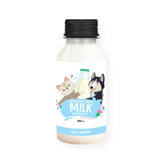 PetCubes Kefir Milk for Dogs & Cats